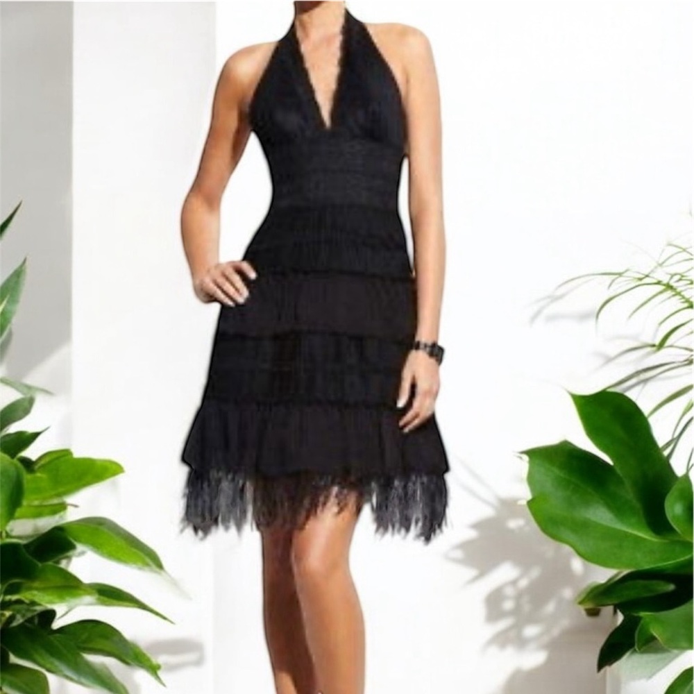 Sexy BCBGMaxAzria Black Lace Dress with Feather Trim
